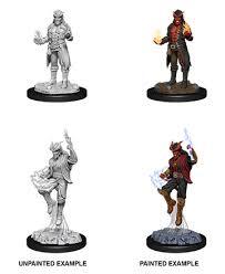 Tiefling Male Sorcerer (W12)